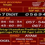 Prediksi Virdsam China 9 Februari 2021 prediksi-virdsam-china9-februari-alexistogel